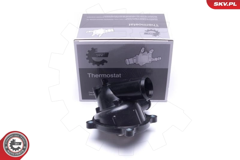 Thermostat, coolant